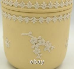 Pot à bibelots haut avec couvercle en jaspe Wedgwood vintage jaune primevère Prunus 1976