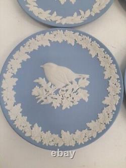 Quatre assiettes de la série d'oiseaux britanniques de Wedgwood, diamètre de 17cm