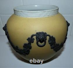 Rare Buff Antique Et Noir Wedgwood Jasperware Flower Vase Lion Masque Et Feuille De Vigne