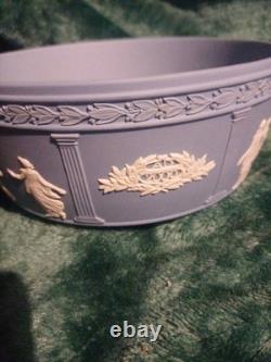 Superbe saladier en jaspe Wedgwood Millennium Fruit Rare Find 2000