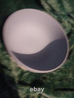 Superbe saladier en jaspe Wedgwood Millennium Fruit Rare Find 2000