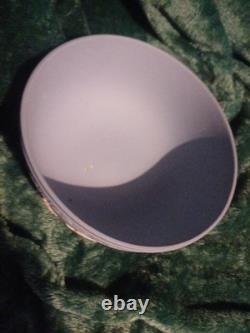 Superbe saladier en jaspe Wedgwood Millennium Fruit Rare Find 2000