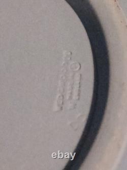 Superbe saladier en jaspe Wedgwood Millennium Fruit Rare Find 2000