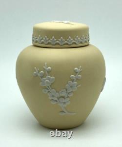 VTG Wedgwood Pot en Gingembre à Primevère en Jasper Jaune avec Couvercle Prunus Blossom 4