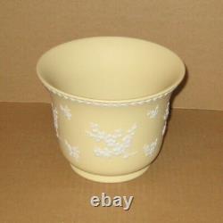 Vase Prunus en jaspe jaune Wedgwood