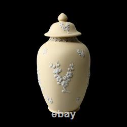 Vase Urne en Jasperware Wedgwood fait main Jaune Primevère avec Prunus, 17 cm