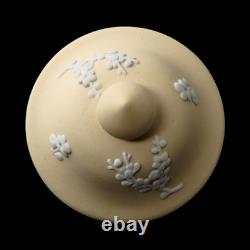 Vase Urne en Jasperware Wedgwood fait main Jaune Primevère avec Prunus, 17 cm