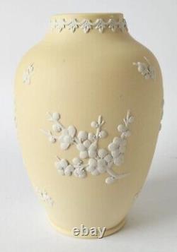 Vase Wedgwood Jasperware Jaune Primevère Prunus