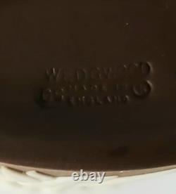 Vase en jaspe brun Wedgwood à fleurs de prunus