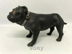 Wedgwood Black Basalt Jasperware Bull Dog Avec Les Yeux De Verre Et Le Collier Métallique Original