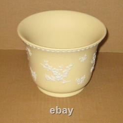 Wedgwood JADE Jasperware 1978 POT PRUNUS