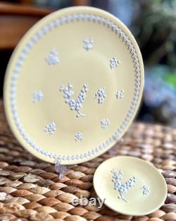 Wedgwood / Primevère Jaune / Porcelaine de Jasper Prunus / Grand Plat de 8' + Petit Objet Wedgwood / Primevère Jaune / Porcelaine de Jasper Prunus / Grand Plat de 8' + Petit Objet