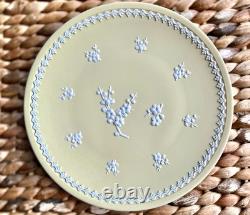 Wedgwood / Primevère Jaune / Porcelaine de Jasper Prunus / Grand Plat de 8' + Petit Objet