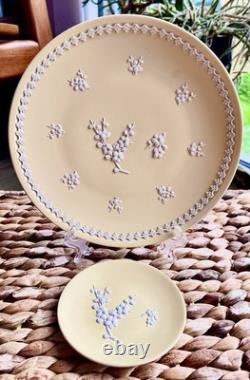 Wedgwood / Primevère Jaune / Poterie Jasper Prunus / Assiette Grande de 8' + Petit Objet