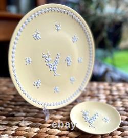 Wedgwood / Primevère Jaune / Poterie Jasper Prunus / Assiette Grande de 8' + Petit Objet