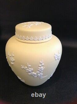 Wedgwood Primrose Jaune Blossom Ginger Jar 5,5 Pouces